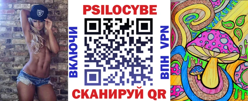 закладка Верхоянск Галлюциногенные грибы Psilocybine cubensis